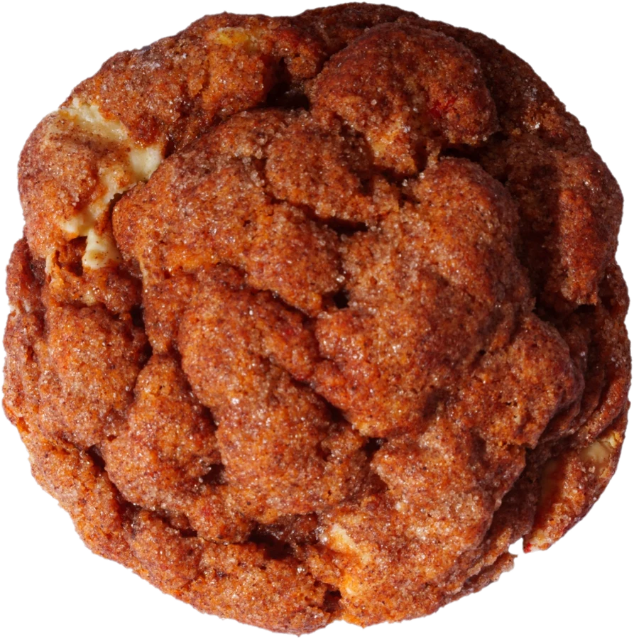 Oh My Pumpkin cookie by Daily Cookies