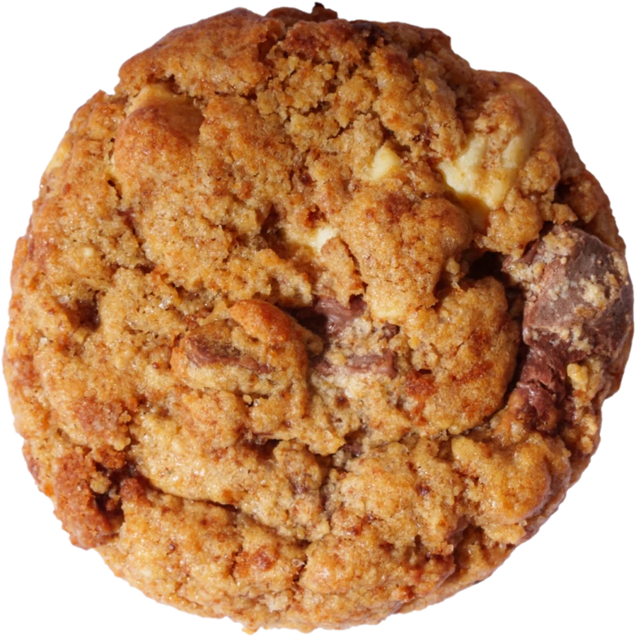 Speculicious cookie by Daily Cookies
